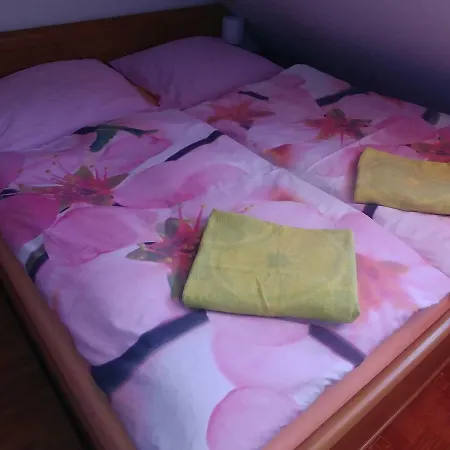 Apartmán Podkroví - Brdy